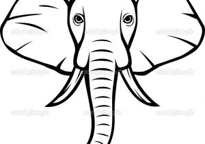 300x210 Indian Elephant Face Drawing Indian Elephant Head Clipart