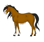 150x142 Indian Horse