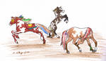 150x87 Indian Horse Adoptables