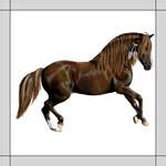 150x150 Indian Horse