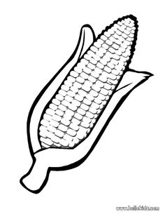 236x305 Indian Corn Coloring Sheet Free Coloring Pages On Art Coloring Pages