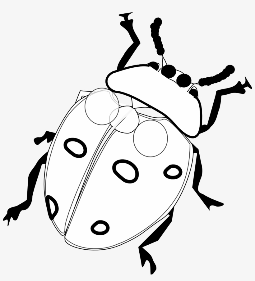 820x905 ladybug black white line art flower drawing scalable