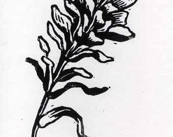 340x270 Paintbrush Flower Etsy