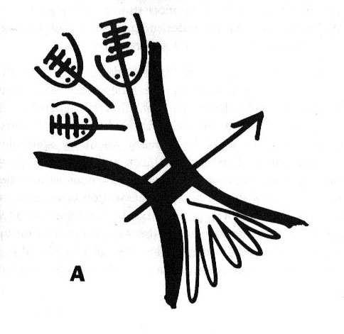 484x471 Thinking It Cattle In The Indian Village