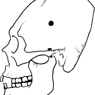 320x320 Schematic Drawing