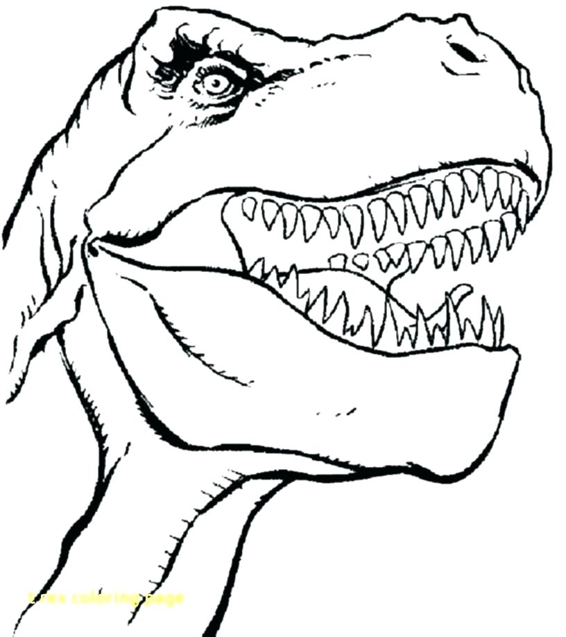 816x918 T Rex Colouring Coloring Pages World Drawing At Com Free