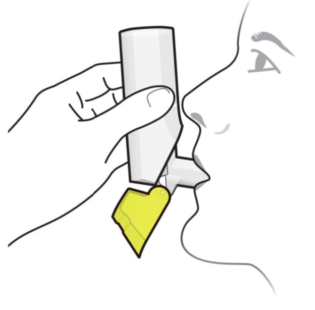 624x614 Ndc Fluticasone Propionate And Salmeterol Fluticasone