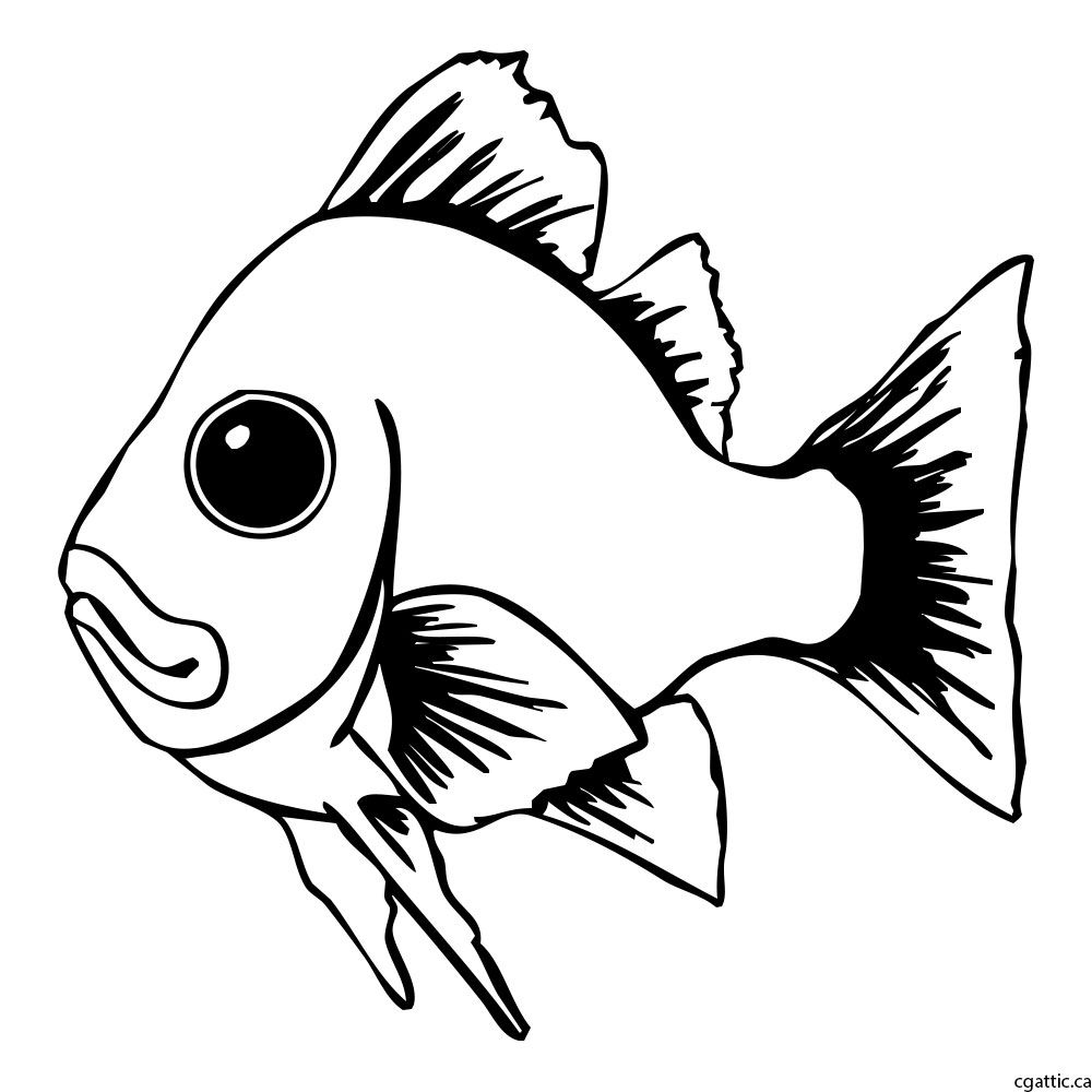 1000x1000 Fish Cartoon Drawing In Steps With Photoshop Art Fish