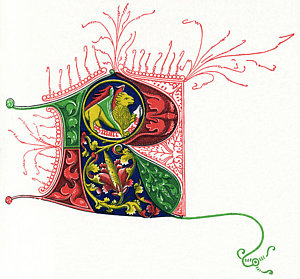 300x279 Initial Drawings