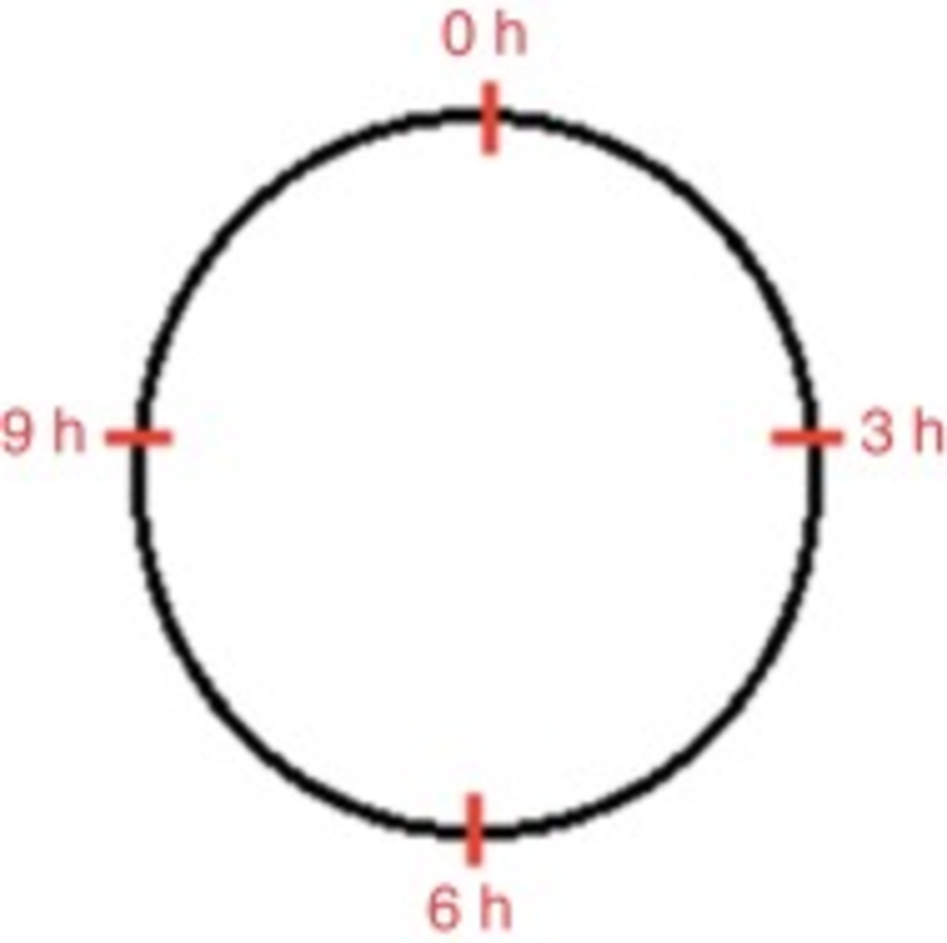 850x846 Schematic Drawing Showing The Location Of Growth Factor Injection