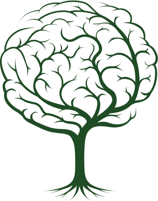 525x668 Traumatic Bra Personal Injury Montagna Klein Camden