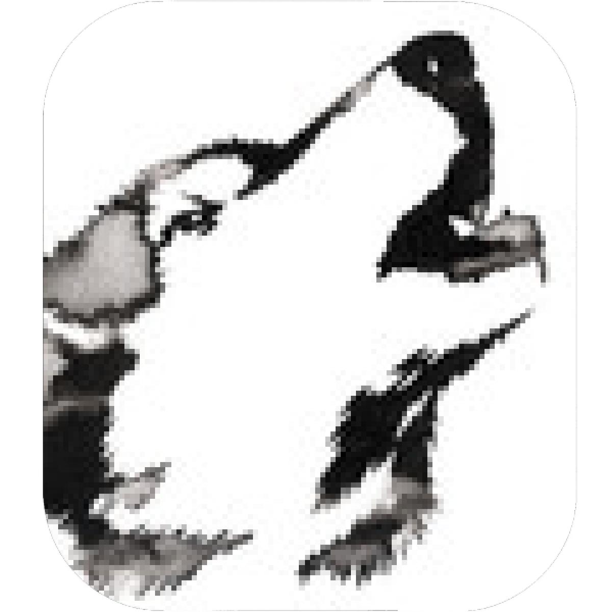 1200x1200 Designs Mein Mousepad Design Mousepad Selbst Designen