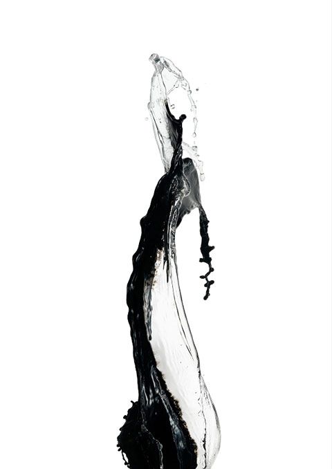 480x678 Shinichi Maruyama Photography Ink Water Projects To Try