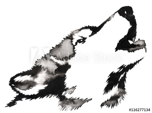 500x372 Black And White Monochrome Painting With Water And Ink Draw Wolf