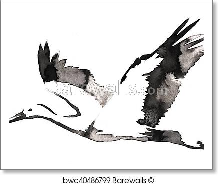 435x370 Black And White Monochrome Painting With Water And Ink Draw Crane
