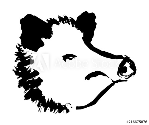 500x417 Head Of Wild Boar Handmade Vector Ink Drawing Symbol
