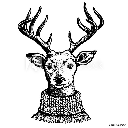 500x500 Ink Drawing Of Reindeer In Knit Sweater