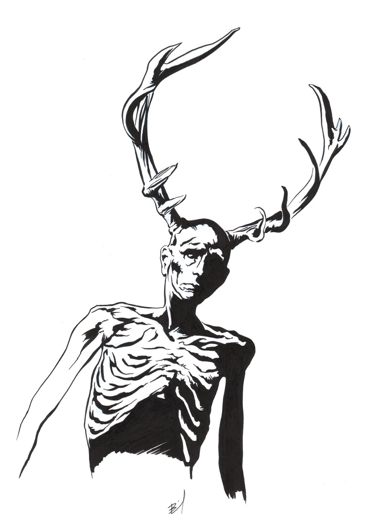 1172x1688 Original Ink Drawing Brandon Bird