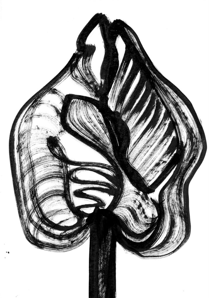 716x1024 Drawings Maria Dubin