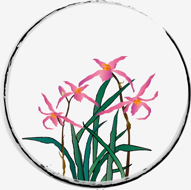 640x637 Hand Drawn Ink Chinese Style Orchid Flower Plant Round Border