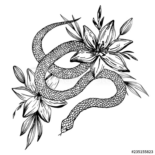 500x500 Hand Drawn Ink Snake And Lilies Flowers, Vector Illustration