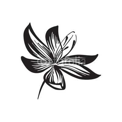 400x400 Hand Drawn Outline Flowers Sketch Silhouette Vector Black Ink