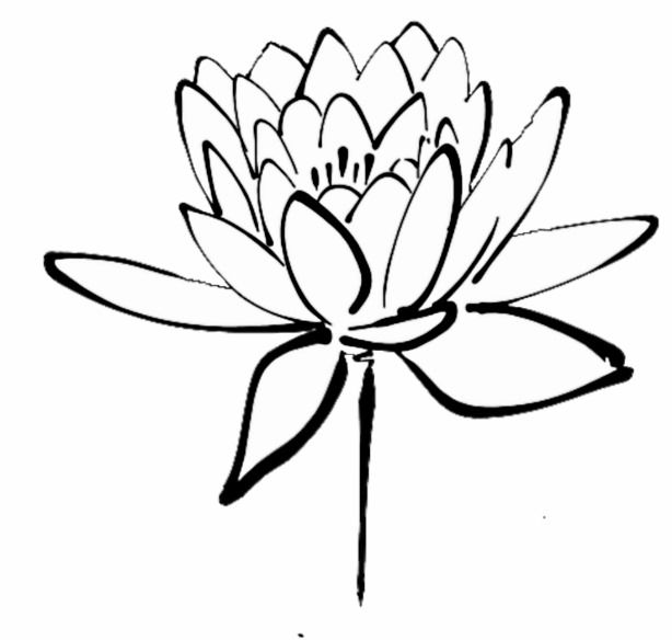 614x584 Lotus Flower Black And White Ink Drawing Art Hitch Cover Tattoos