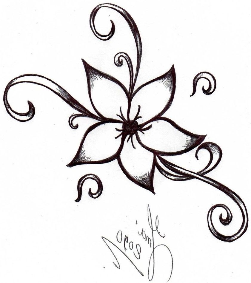 841x949 Drawing Ideas Flower Sketches