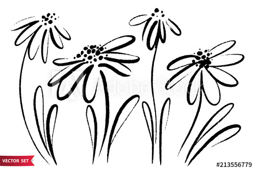500x334 Vector Set Of Ink Drawing Wild Flowers, Monochrome Artistic