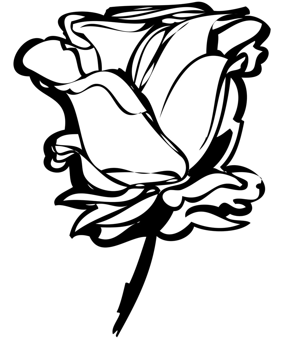 972x1168 Black Background With White Flower Drawings Stock Photos Images