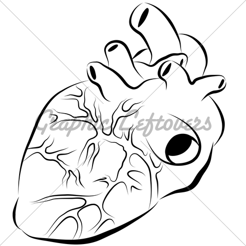 500x500 Human Heart Ink Drawing Gl Stock Images