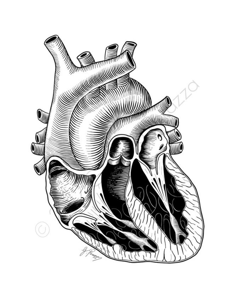 794x1010 Inner Heart Pen Ink Illustration Digital Print Etsy