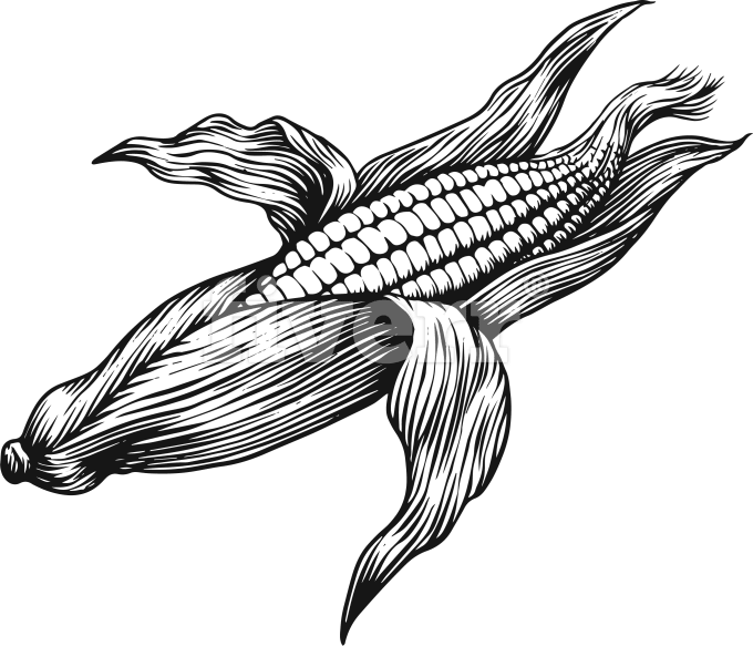 680x583 Create Super Artistic Line Art Using Pen And Ink