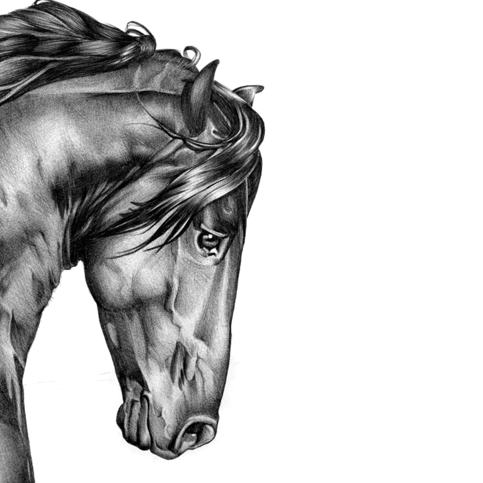 2000x2000 Art Inspiration Art, Horses, Horse Art