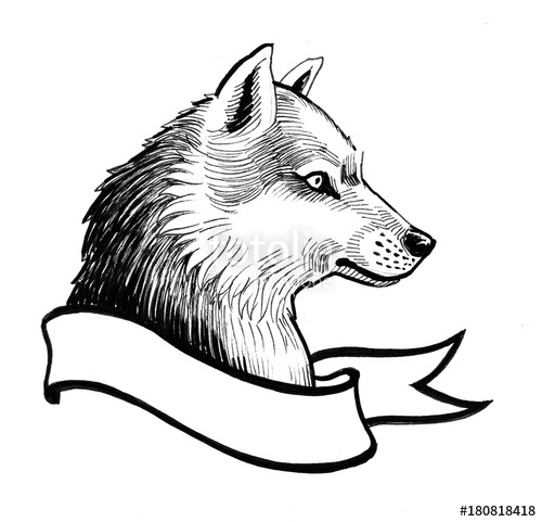 500x481 Husky And Banner Black And White Ink Drawing Stock Photo