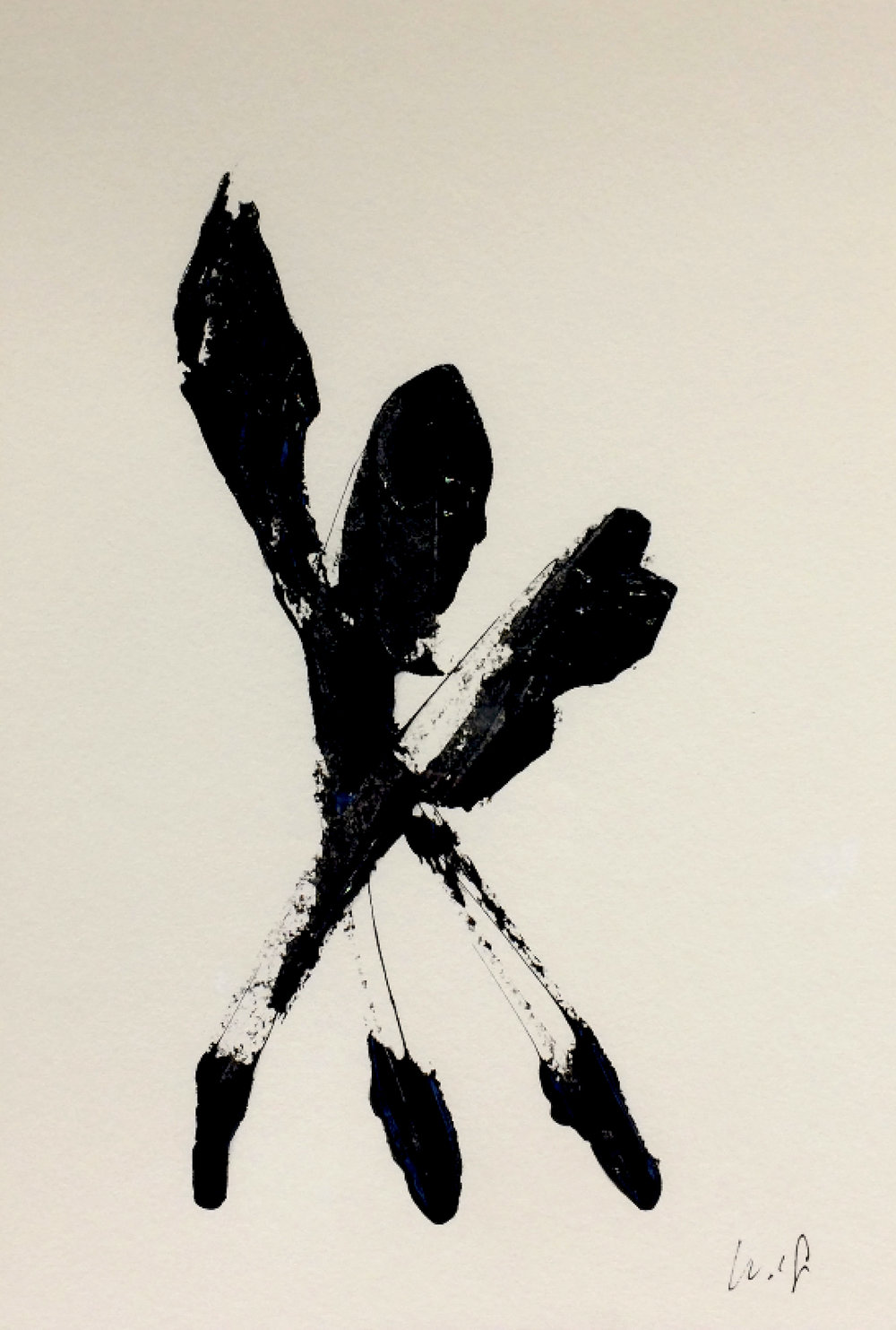 1000x1483 Lucas Wolf