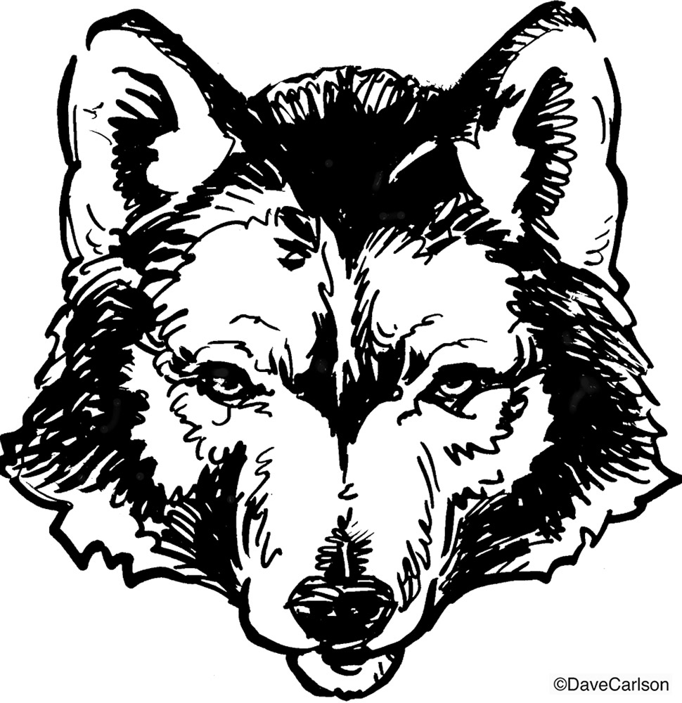 970x1000 Wolf Illustration Carlson Stock Art