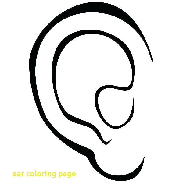 600x627 Collection Of Free Ear Clipart Coloring Amusement Clipart