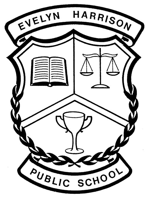 500x669 student input