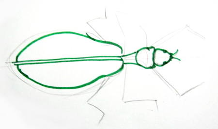 450x266 How To Draw A Leaf Insect