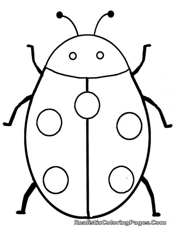 619x800 Huge Collection Of 'insect Drawing For Kids' Download More Than