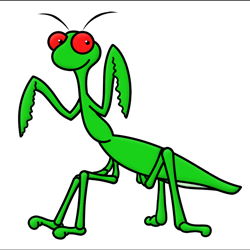 250x250 Praying Mantis Insect Cartoon Drawing Lesson