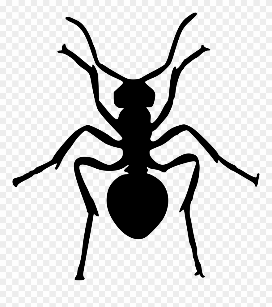 880x992 Ant Insect Art Silhouette Drawing