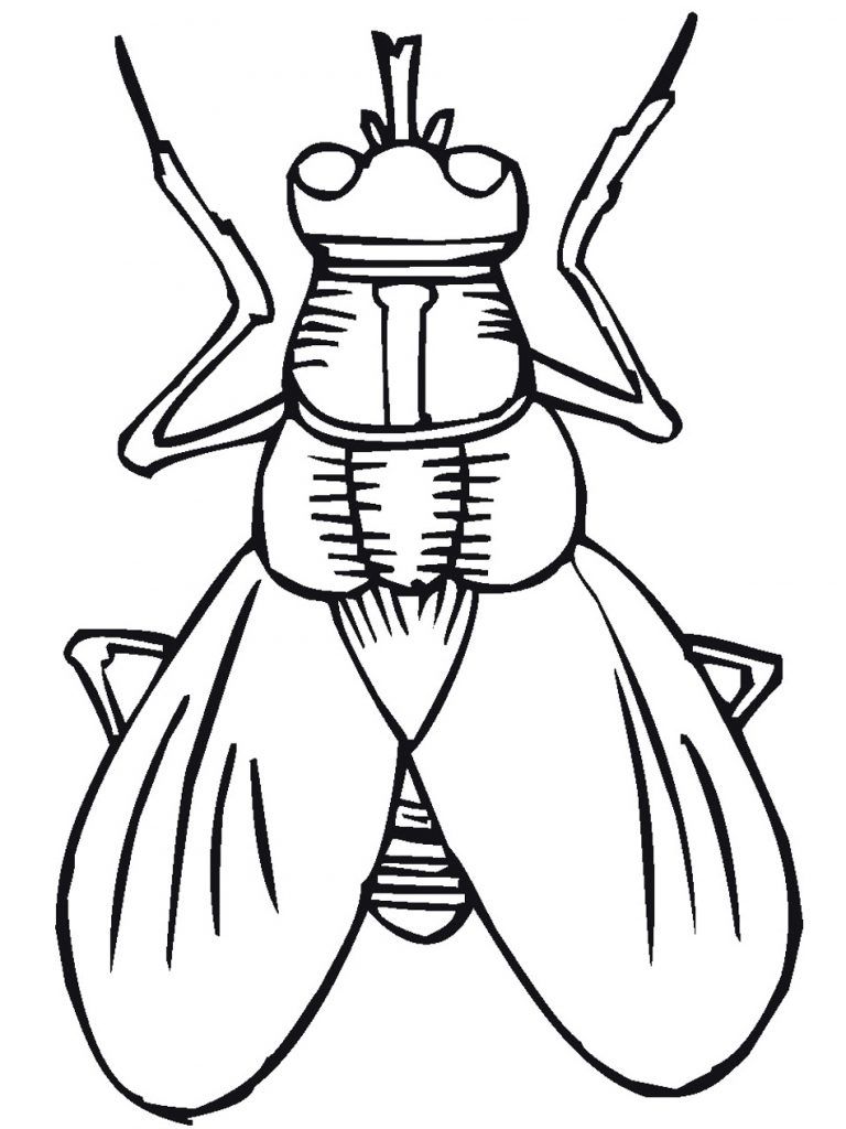 768x1024 Insect Coloring Pages Ideer Og Inspiration Insect Coloring