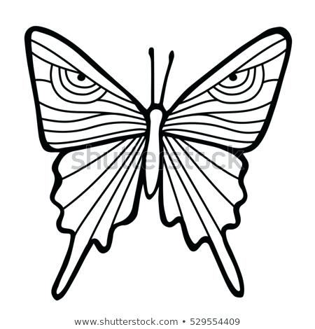 450x470 Outline Butterfly Black Outline Butterfly In White Background Hand
