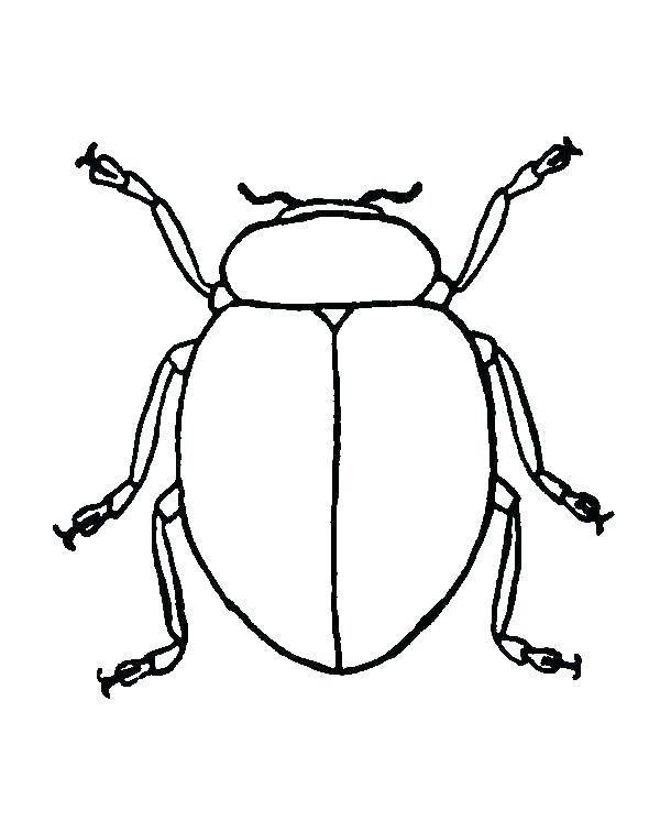 600x756 Simple Bug Drawings Pill Ladybug Simple Drawings