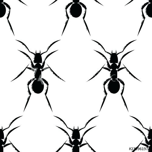 500x500 Ants Drawing