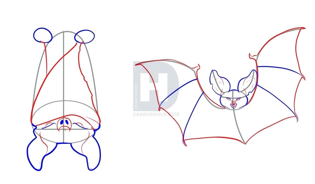 1080x632 How To Draw A Bats Draw Bats