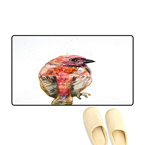 466x466 Door Mats For Inside Watercolor Drawing Of Cute Bird