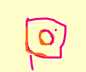 300x250 Instagram Icon